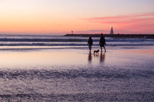 Two people and a small dog walking the beach in silhouette